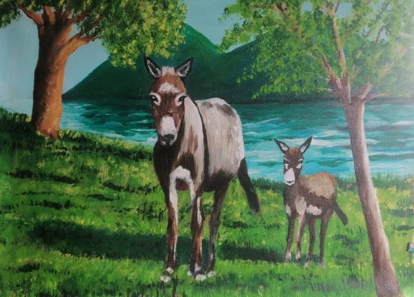 Hobby 59